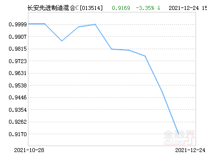 100039基金最新净值，动态变化中的投资力量与成就感的源泉