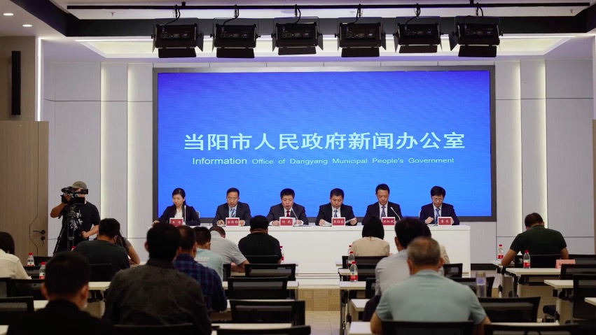 当阳最新新闻获取与阅读指南，初学者到进阶用户的全面教程