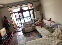 丽都风景最新价格指南，获取与理解价格的方法