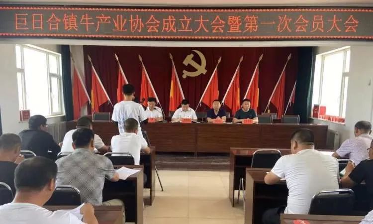 扎鲁特旗新闻聚焦，友情与爱的温馨日常