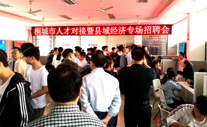 舒城最新招聘信息及应聘指南，求职新起点