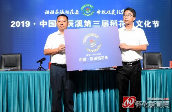 辰溪最新新闻,辰溪最新新闻📣📢
