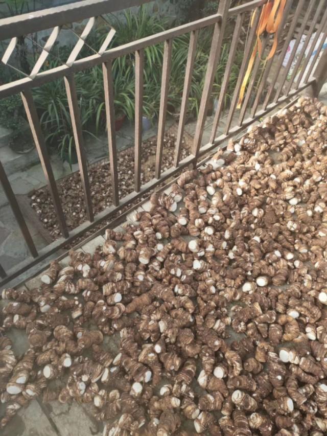 各种特色服务 第82页