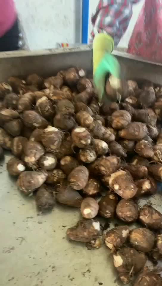 平度芋头最新价格动态，变化中的价值与学习带来的自信与成就感