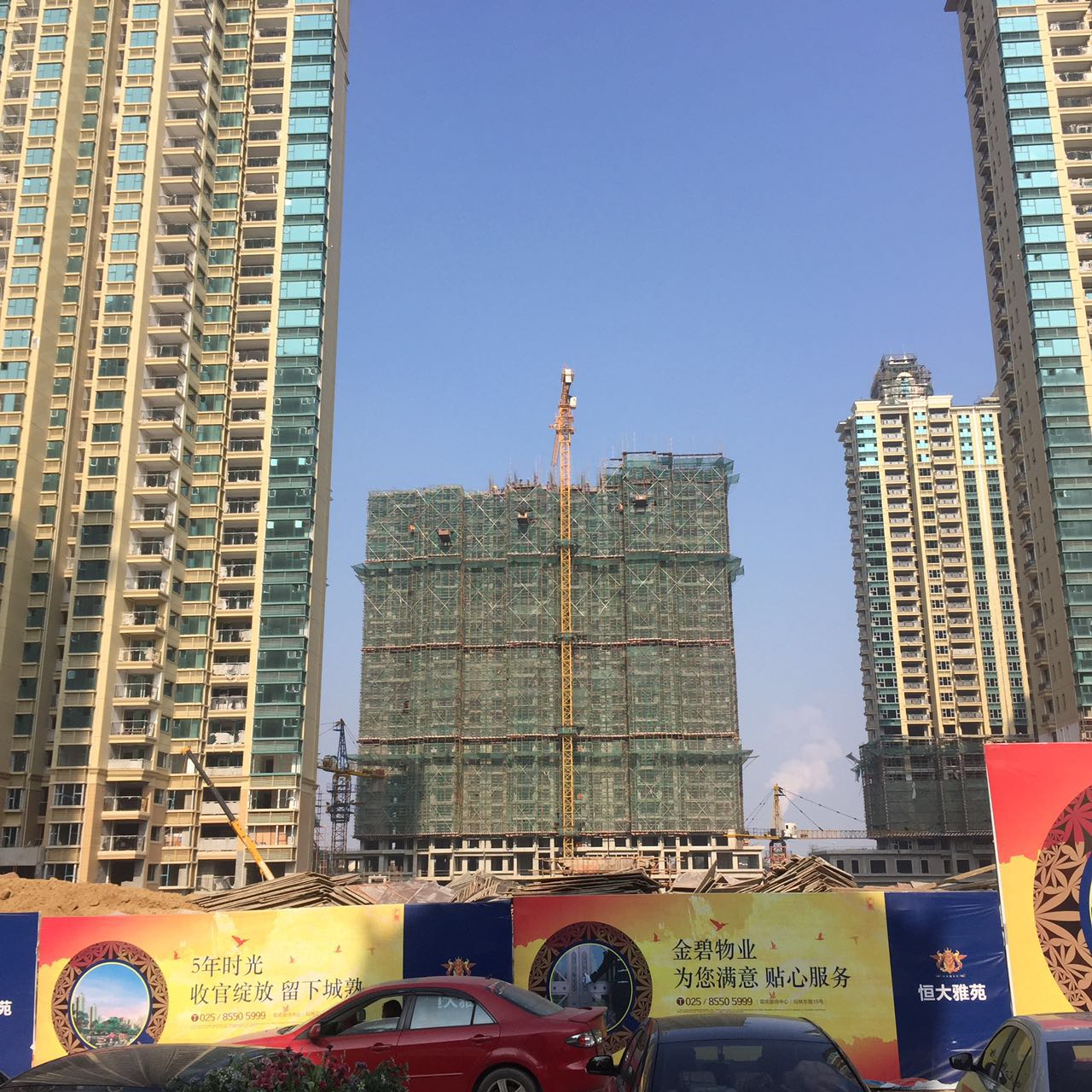 仙林东最新利好全面指南与详解步骤，一站式了解最新利好资讯