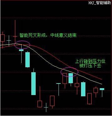 经传最新指标概览，洞悉金融市场关键信息