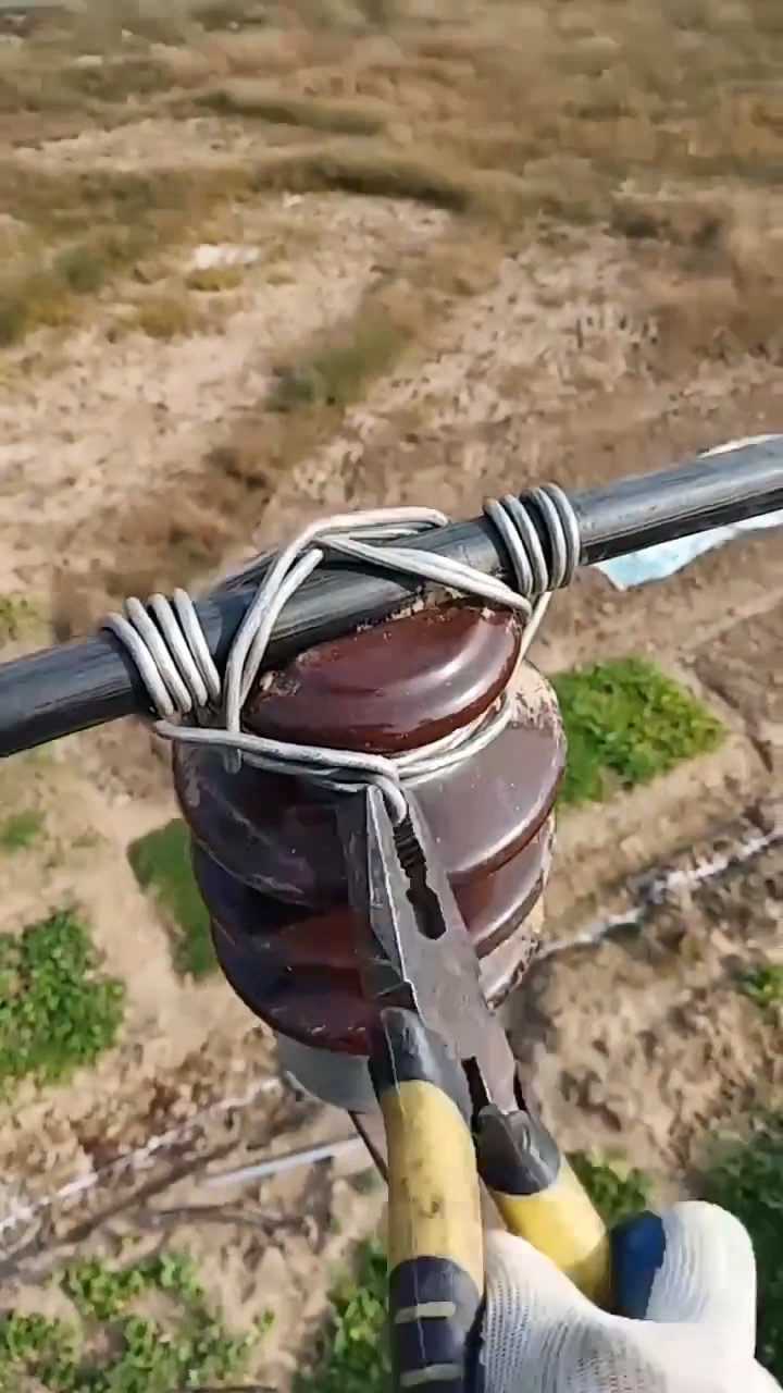 友情与陪伴的温馨旅程，最新瓷瓶绑扎视频分享