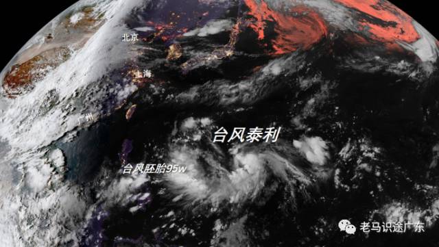 台风鸽子实时更新，最新动态与资讯汇总