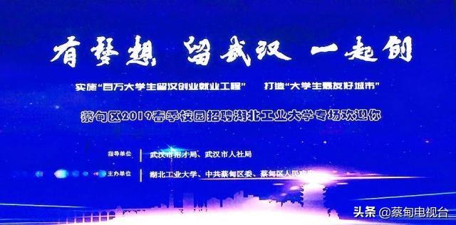 蔡甸最新招聘，小巷深处的隐藏宝藏与小店奇遇探索