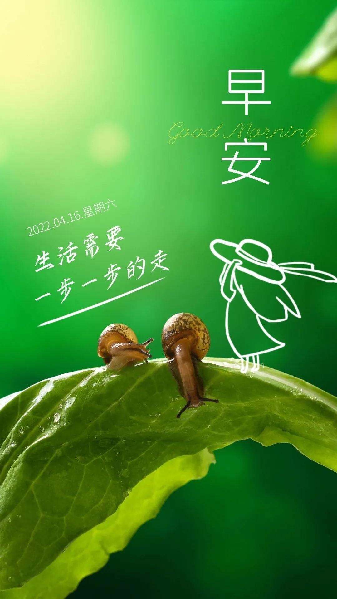 元宇宙时代下的文字革命，最新流行字与时代的印记