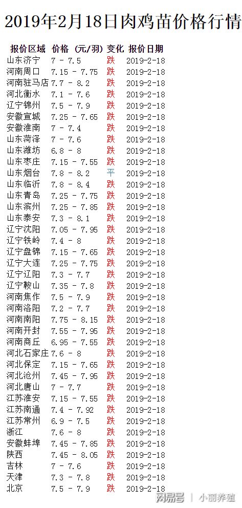 蛋鸡最新报价探秘，小巷特色小店的惊喜揭秘