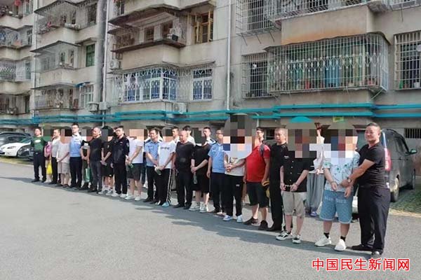 绥宁最新诈骗事件深度剖析与解析