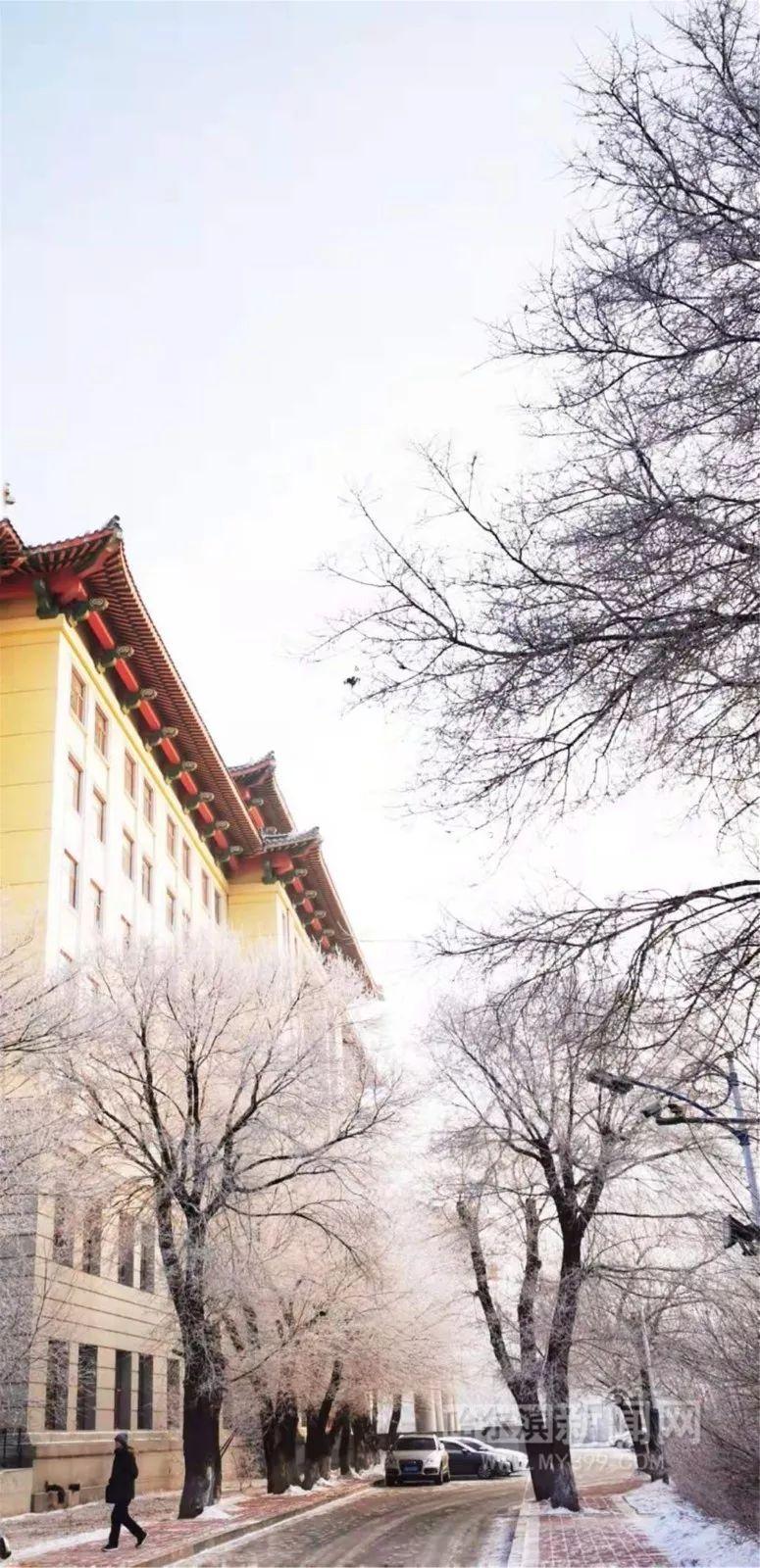 最新雪花飘，高科技产品的革新之旅