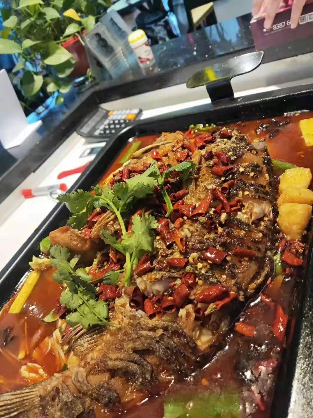 探店最新,探店最新，一场寻找内心平静的自然美景之旅