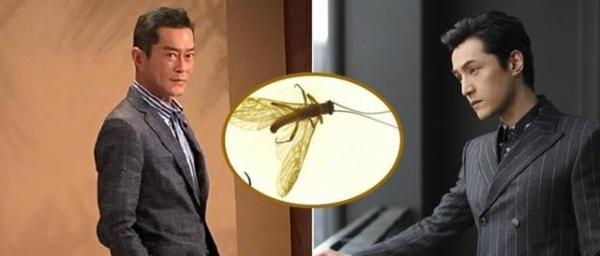 最新SP文章独家揭秘，不容错过的精彩内容！