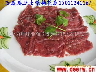 鹿肉最新价格，科技引领生活时尚的新选择