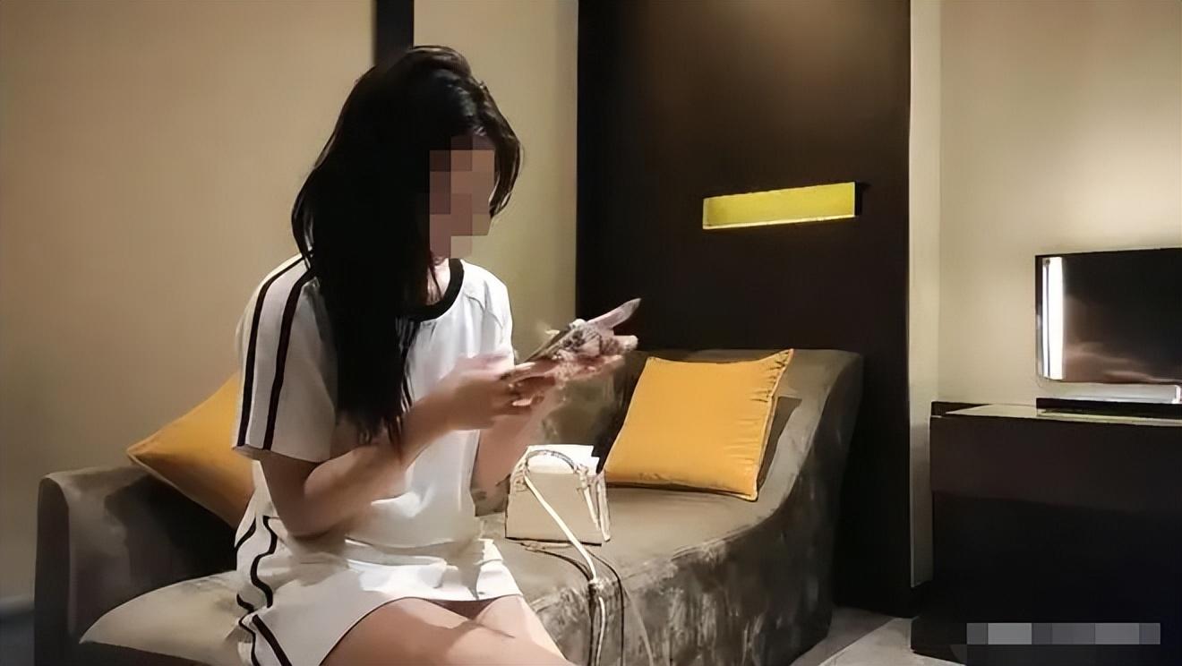 东北探花最新，科技革新之旅让生活更精彩