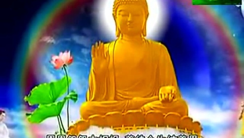 最新佛法视频，现代传播视角下的多元理解与探索