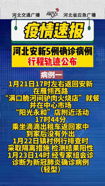 安新最新疫情，观点论述与最新动态分析