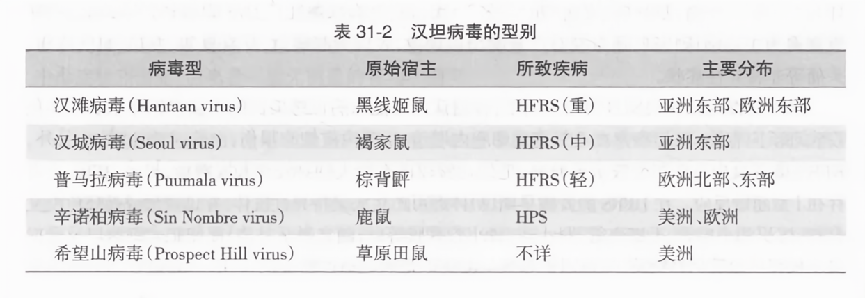 汉坦病毒详解，了解与应对的指南