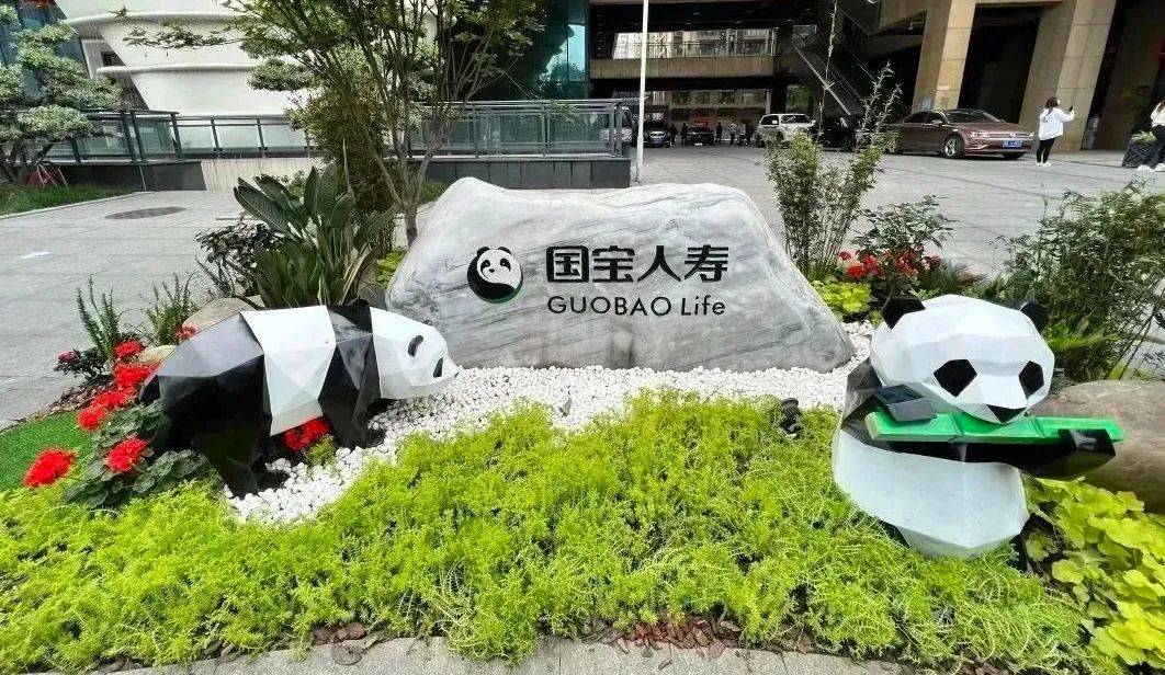 国宝人寿最新动态，创新发展的轨迹、未来前景展望