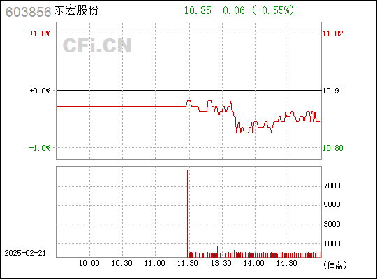 揭秘东宏股份股票，投资新宠还是潜在风险？全面解析东宏股份股票全貌！