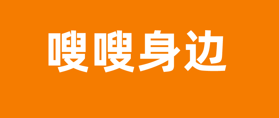 信用宝最新动态，科技重塑信用生活，便捷体验前所未有