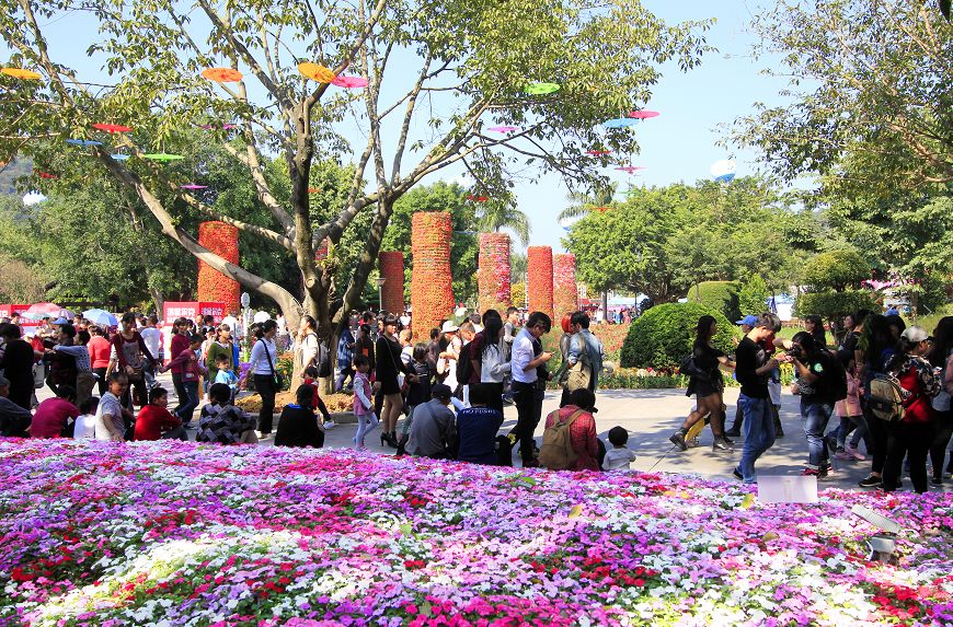 胜芳香花都最新动态大全，全面指南与步骤教程