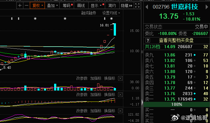 世嘉科技股票，力量与智慧的向前之路