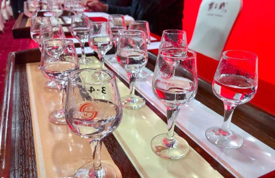 白酒品酒大赛，小巷深处的独特风味探寻之旅