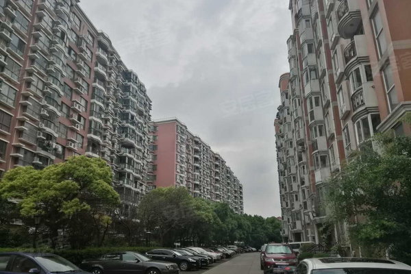 新明星花园，城市中的绿色明珠，尽享自然之美