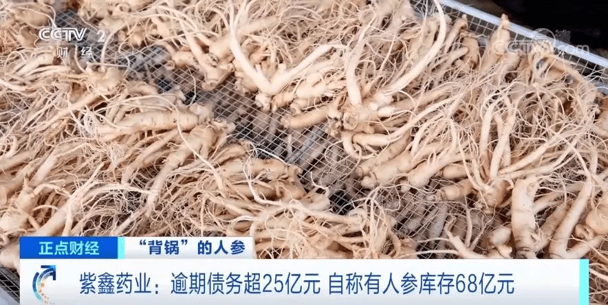 人参今年行情，小巷深处的滋补宝藏揭秘