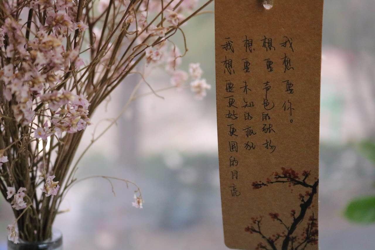 三行情书母校，自然美景的心灵之旅