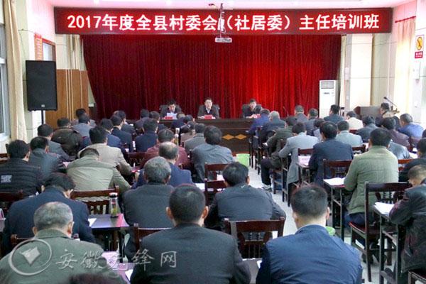 安徽省委组织部最新主要负责人论述概览