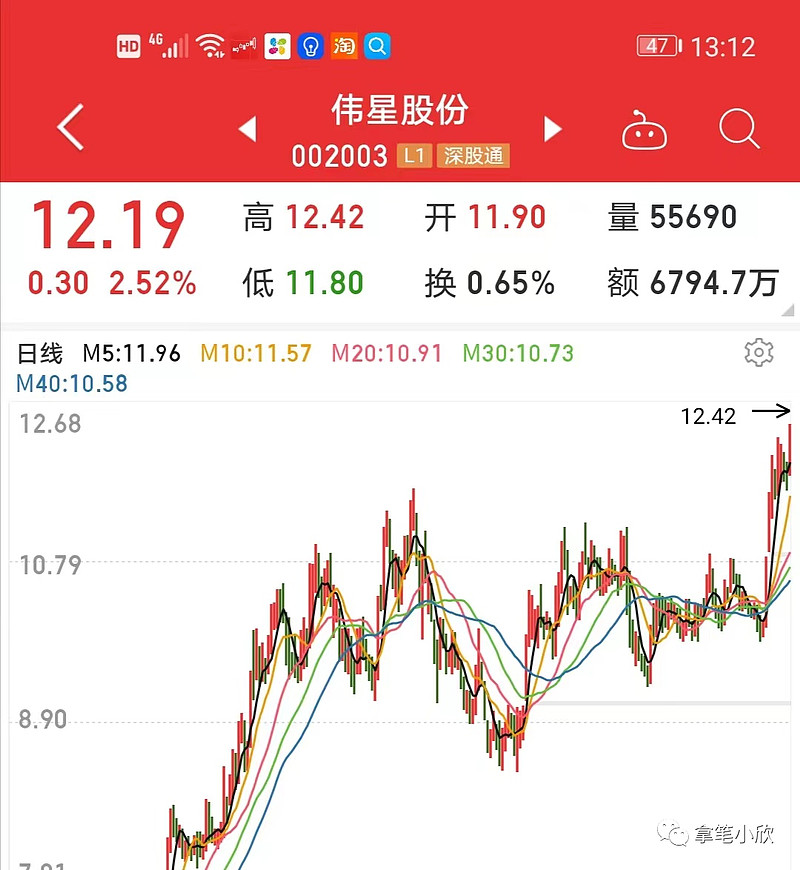伟星股票，小巷中的隐秘宝藏，展现独特投资魅力