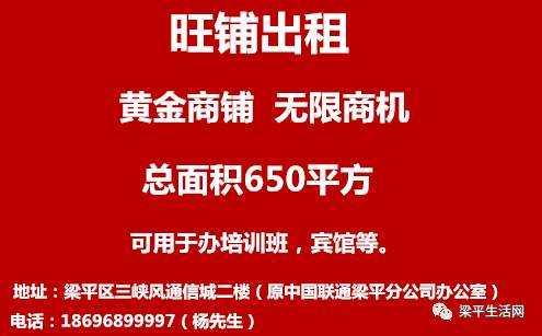 餐饮项目策划 第7页