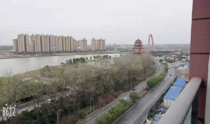 泗阳运河名门最新资讯，繁荣变迁中的多元观点展望